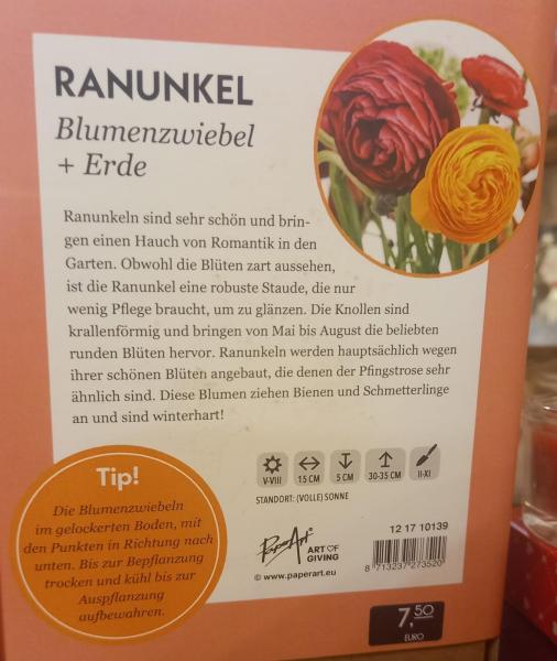 Lass Liebe wachsen - Ranunkel Blumenzwiebel mix